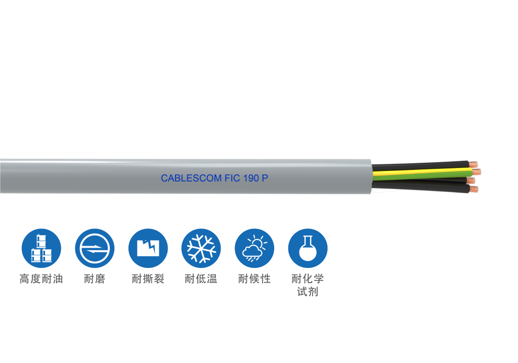 FIC 190 P